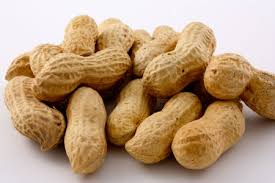 Gurleys Bulk Nuts In-Shell Nuts Jumbo Salted Peanuts