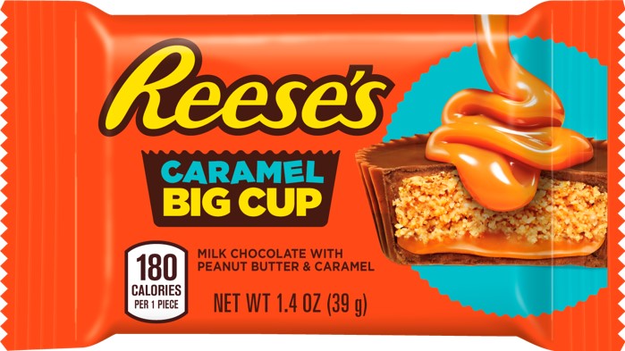 REESE'S Milk Chocolate Peanut Butter Cup Big Cup With Caramel Standard  Bar, 1.4 oz., 18/16 ct.